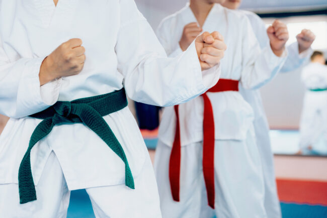 karate archamps