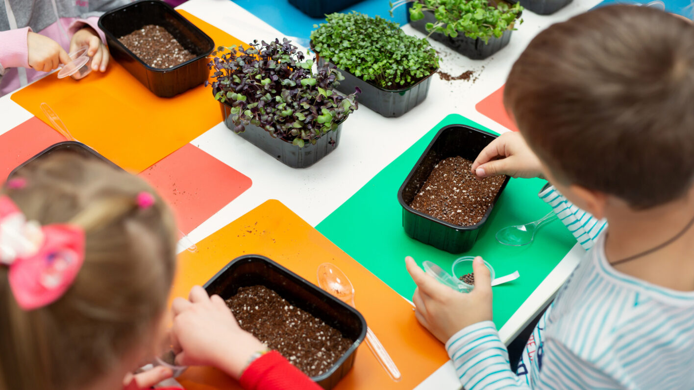 Labellisation niveau 2 « E3D Ecole en Démarche de Développement Durable » archamps