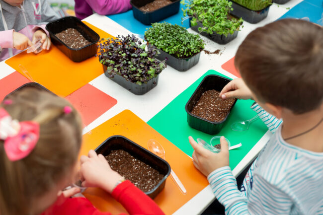 Labellisation niveau 2 « E3D Ecole en Démarche de Développement Durable » archamps
