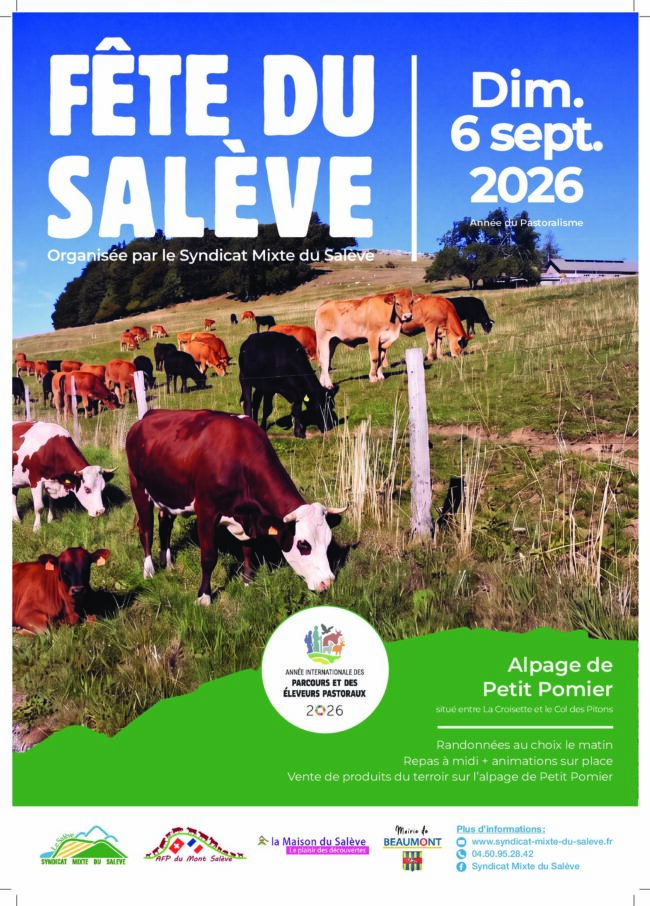 26070186 SYNDICATMIXTESALEVE affiche A3